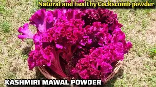 Kashmiri Mawal Powder | Cockscomb Powder | 100% Natural & Healthy Food Colour |by IQRA'S DELICACIES 
