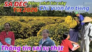 SA ĐÉC Nóng Nhất Lúc Này Nhà Vườn Lên Tiếng Đính Chính Lại Hoa Cúc Mâm Xôi Nở Rộ Nhiều Thông Tin Sai
