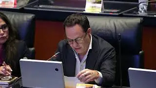 Sesión de la Cámara de Senadores, del 9 de octubre de 2024
