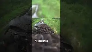 #brpoutlander наваливает по заболоченной ЛЭПке #offroad #atv #brp #offroad #mud #swamp
