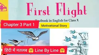 His First Flight In Hindi Explained | Class 10th English Chapter 3 In hindi| Young Seagull