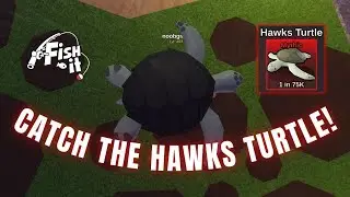 MYTHIC TURTLE FOUND! - How to Catch Hawks Turtle in Fish It Roblox (Exact Spot)