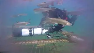 XDive -  XDEEP SOPRAS Konfiguration