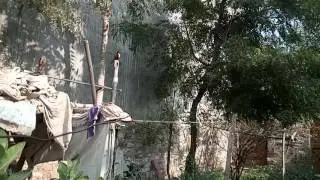 Le 1s slow motion mode(must watch)