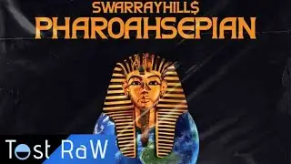 SwarrayHill$ - Leon Schuster