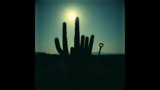 Desert Justice