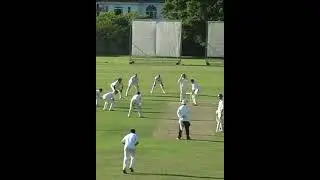 LAST BALL OF THE GAME.. 1 WICKET TO WIN (AMAZING)