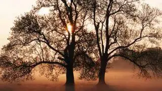 Newest Melodeath song