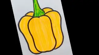 Bell Pepper Drawing