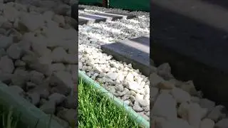 Drenaj margine gazon - video detaliat in descriere