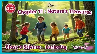 Chapter 11 : Nature's Treasures Class 6 Science Curiosity NCERT Explanation of the Chapter