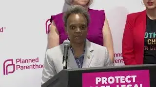 Democrat Lori Lightfoot Laments 2016 Election: If Hillary Won, 