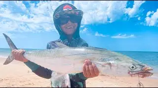 Father & Son Beach Fishing, Crazy Mackerel Action
