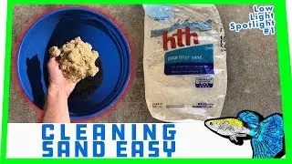 HOW TO: Clean Aquarium Sand || Low Light Spotlight #1