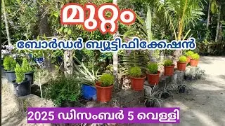 Yard Border Beautification / Friday, December 5, 2025