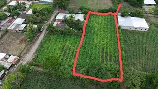 Se venden 8 Lotes, en lotificacion Santa Emilia, cantón la Cabaña distrito de el Paisnal