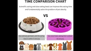 Slow Feeder Dog Bowl vs. Regular Dog Bowl