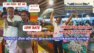 1kg 60 Rs. மீன் விலை பாக்கலாம் வாங்க Ukkadam Wholesale Fish Market 25-Jan-2026 #coimbatore 