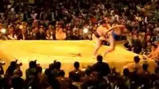 Sumo Tournament