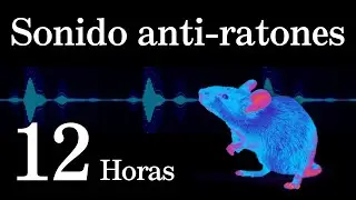 Sonido para ahuyentar ratas y ratones | Ultrasonido para dormir tranquilo sin ratones | 12 Horas
