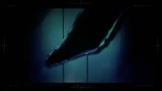 Kankin Kuiki - Lockdown  Level X Opening