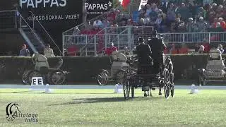 Jan Felix PFEFFER   Ger   Dressage   FEI DPWC KISBER 2019