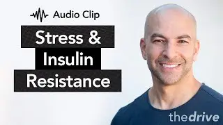 Peter Attia on the Connection Between Stress and Insulin Resistance