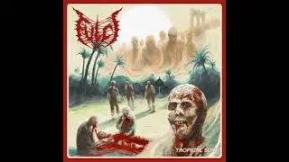 Fulci - Tropical Sun (Guitar Cover)