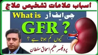 What is Glomerular Filtration Rate?(جی ایف آر کیا ہے اورکیوں کم ہوتا ہے؟)by Prof-Hakeem Ishaq Sultan