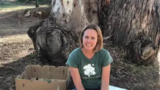 Nature Mission - SEEDS