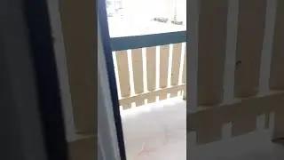 America lo First snow ❄️ experience #youtube #youtubevideos #trending #snow #texas #viral #winter 
