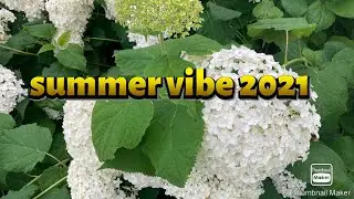 Summer vibe here in Biddinghuizen
