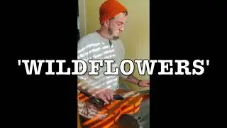'Wildflowers' | Joe Esham | Tom Petty Cover | Weissenborn