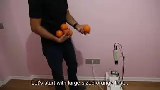 Citrus Classification