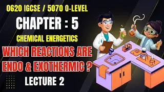 Unit 5 | Lecture 2 | Which Reactions are Exothermic and Endothermic? #skw  #igcse #uni5 #chemistry