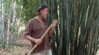 Kokin Gigantica Tutorial