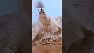 📖 Tremors (1990) | Val Outsmarts the Graboid&rsquo;s Final Attack 🪱🧠💥🏜️
