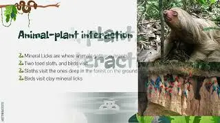 LS2A Interdependent Relationships in Ecosystems