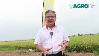 Abdul Razak Aya, FGV Integrated&nbsp;Farming (FGV IF)