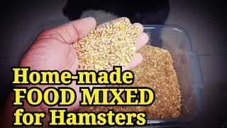 Home Made Hamster Food Mixed (Simple Mix)