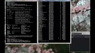 tasklist taskkill cls