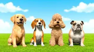 Tail Wag Time 🐶💃 | The Happiest 8 Seconds Ever! #Shorts. Tail Wag Time 💛🐕 | Pure Joy in One Video!