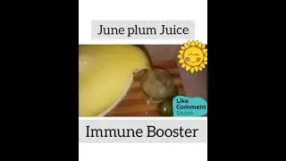 🇯🇲  Jamaican June plum Juice #Juneplum #Ginger #Homemadejuice #ImmuneBooster