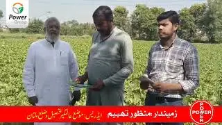 A Vegetable Growers Opinion about Power Crop Sciences products performance.#fypage #chemicals#insect