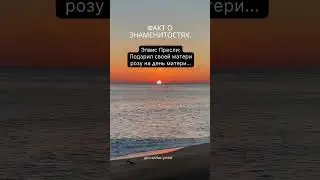 Факт о знаменитостях. @VividVibe-ym9df #facts #personal