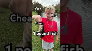 Very Very Cheap 1 pound fish