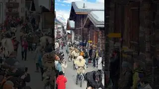 Tsch&auml;g&auml;tt&auml; L&ouml;tschental 🇨🇭 #youtubeshorts #switzerland #traditional