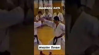 Hiroshi Shirai sensei.Gankaku kata bunkai. Full video 👇