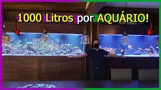 Visitei os Aquários 2000 LITROS do Inscrito Aerton!