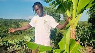 GOOD MORNING MY LOVE PEOPLE WELLECOME MY VILLAGE 
